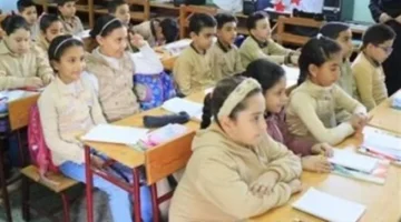 تعليمات مديرية القاهرة.. ضوابط دخول منصة كيريو لأداء اختبارات الذكاء الاصطناعي اليوم